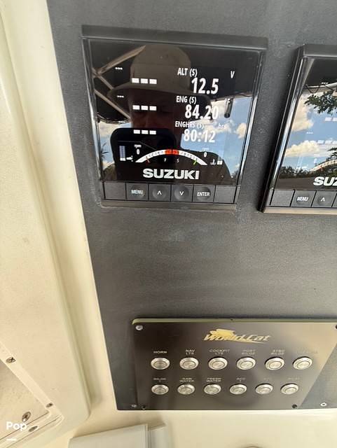 Slide: The Image of World Cat 246SF 1999 - 15679615