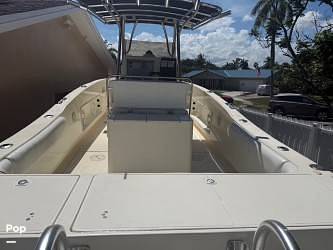 Slide: The Image of World Cat 246SF 1999 - 15679616