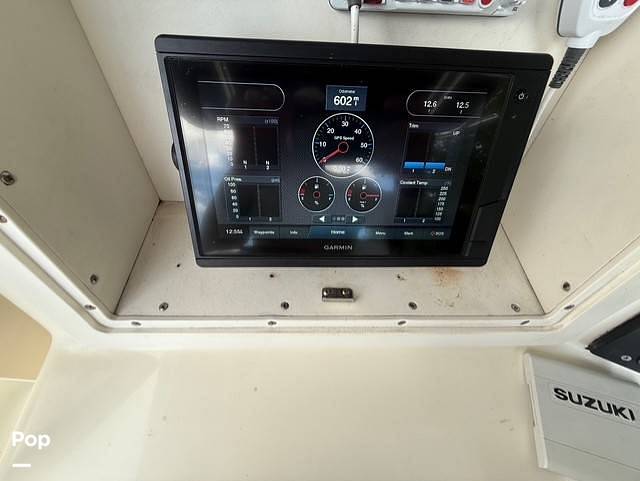 Slide: The Image of World Cat 246SF 1999 - 15679620