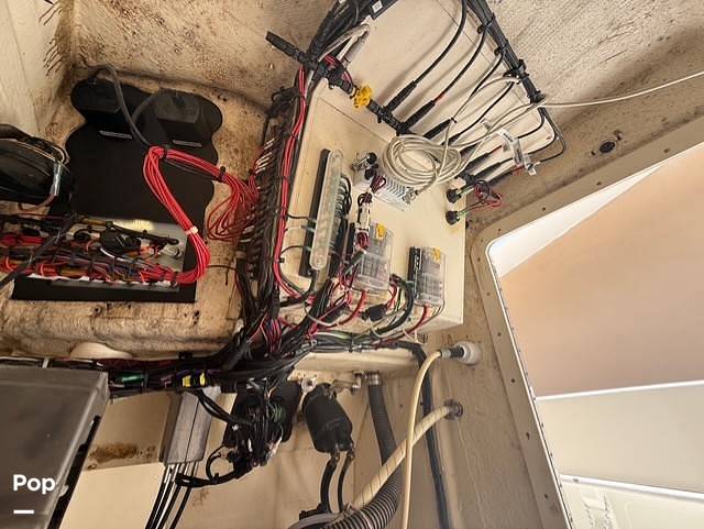 Slide: The Image of World Cat 246SF 1999 - 15679621