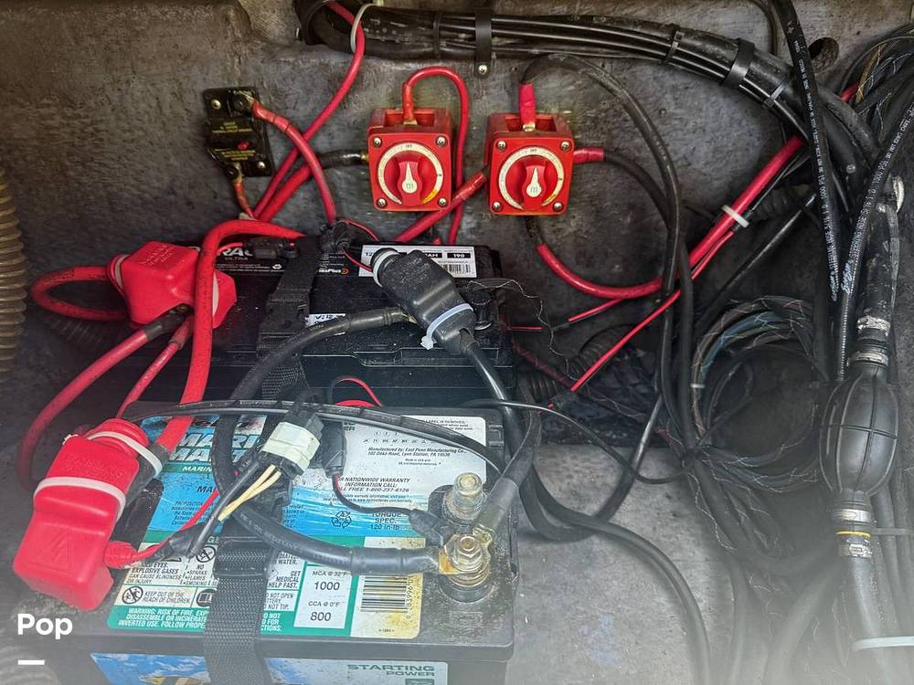 Slide: The Image of World Cat 246SF 1999 - 15679622