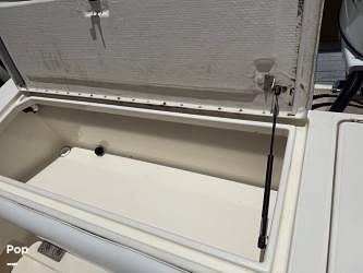 Slide: The Image of World Cat 246SF 1999 - 15679625