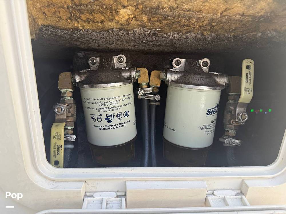 Slide: The Image of World Cat 246SF 1999 - 15679626