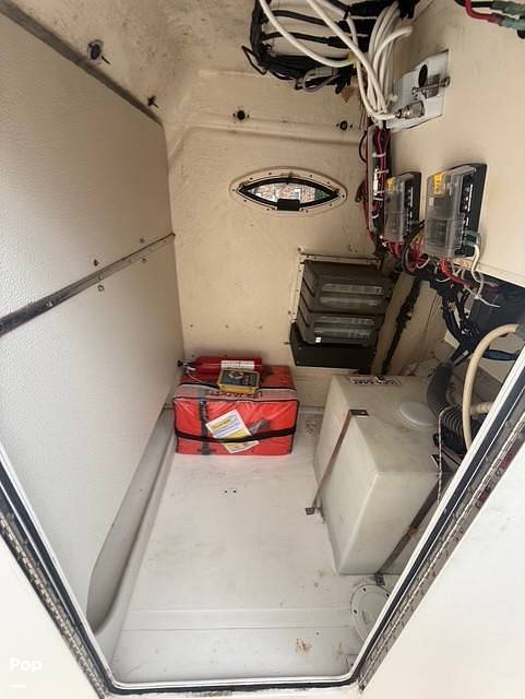 Slide: The Image of World Cat 246SF 1999 - 15679627