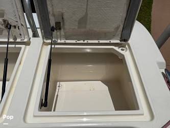 Slide: The Image of World Cat 246SF 1999 - 15679628