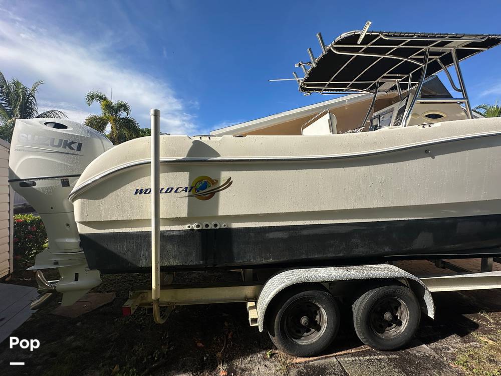 Slide: The Image of World Cat 246SF 1999 - 15835301