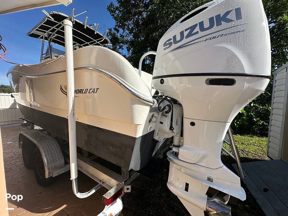 Slide: The Image of World Cat 246SF 1999 - 15835318