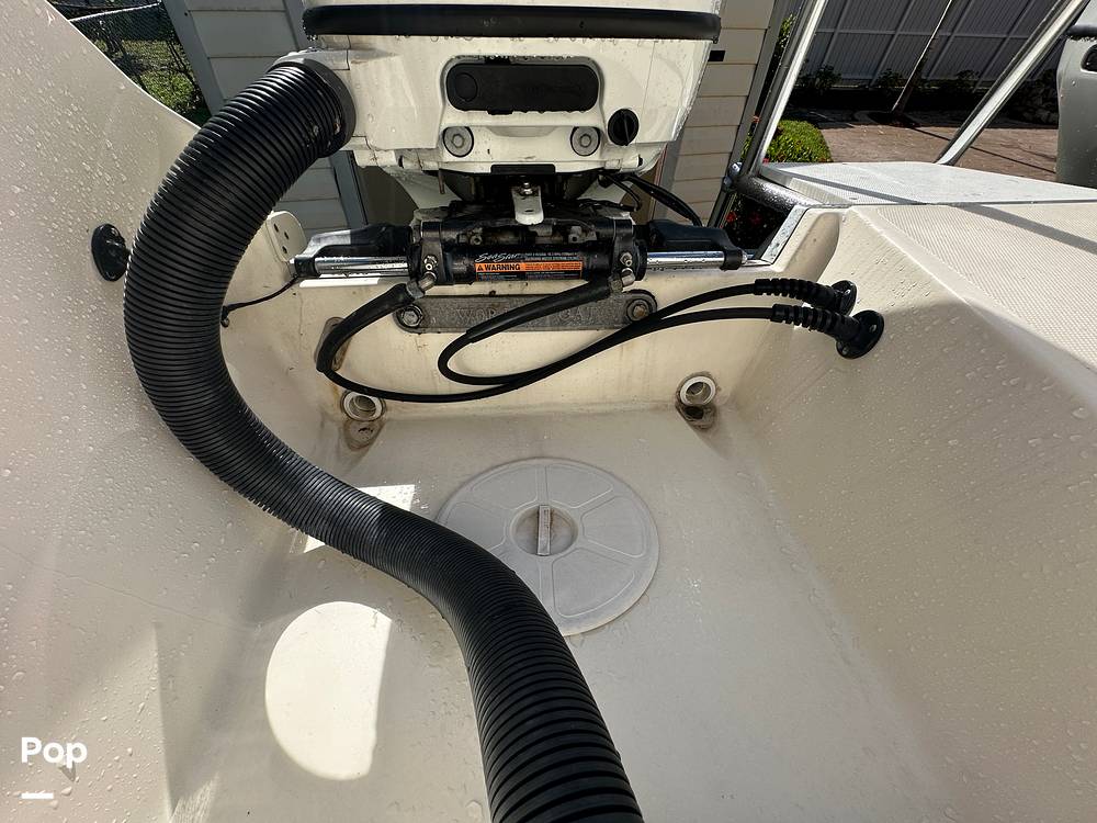 Slide: The Image of World Cat 246SF 1999 - 15835334