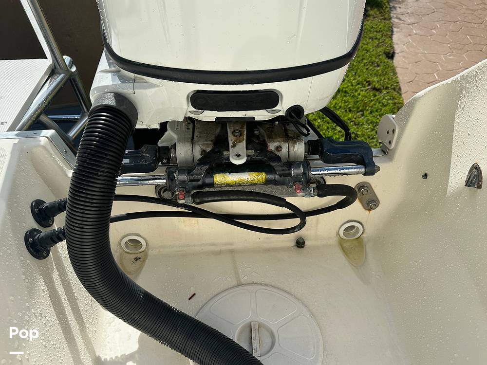 Slide: The Image of World Cat 246SF 1999 - 15835335