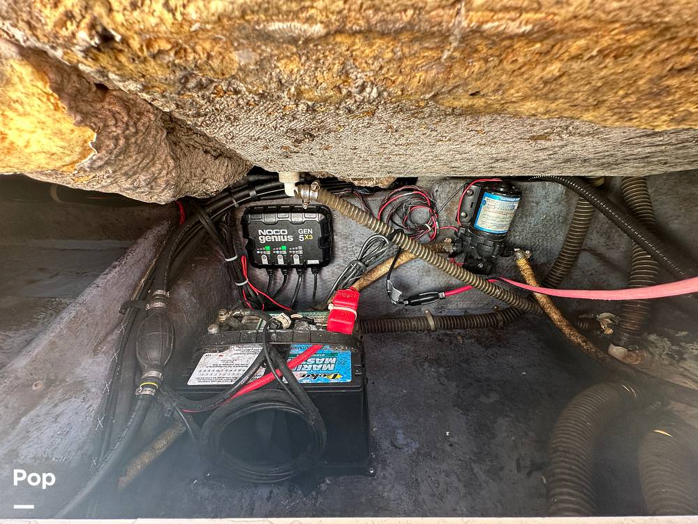 Slide: The Image of World Cat 246SF 1999 - 15835346