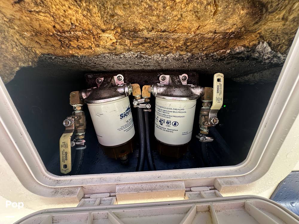 Slide: The Image of World Cat 246SF 1999 - 15835348