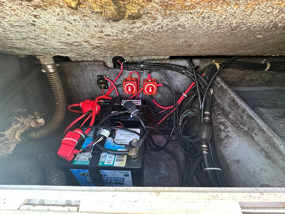 Slide: The Image of World Cat 246SF 1999 - 15835349