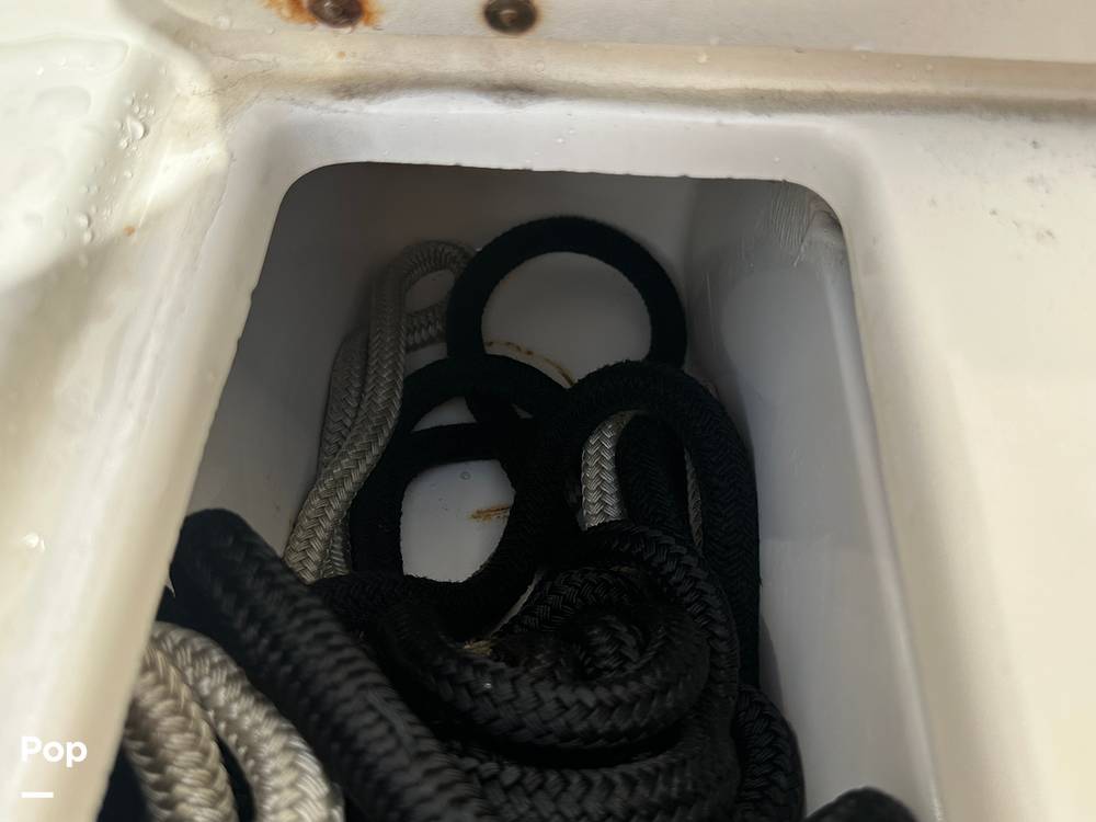 Slide: The Image of World Cat 246SF 1999 - 15835357