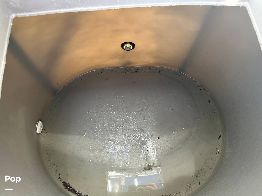 Slide: The Image of World Cat 246SF 1999 - 15835358