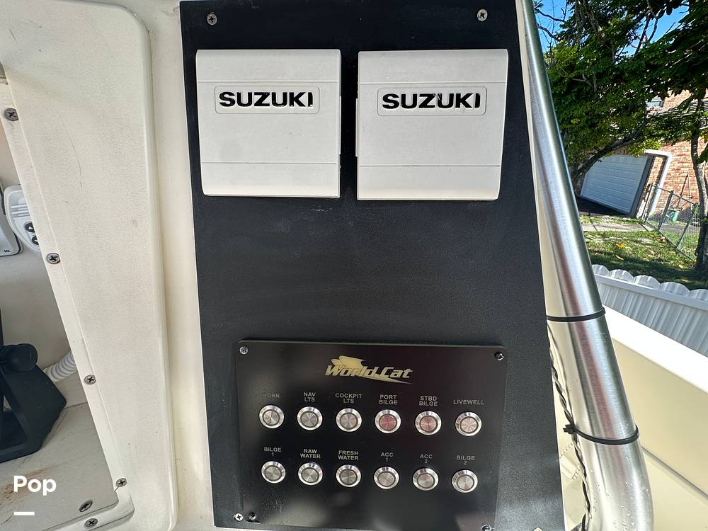 Slide: The Image of World Cat 246SF 1999 - 15835370