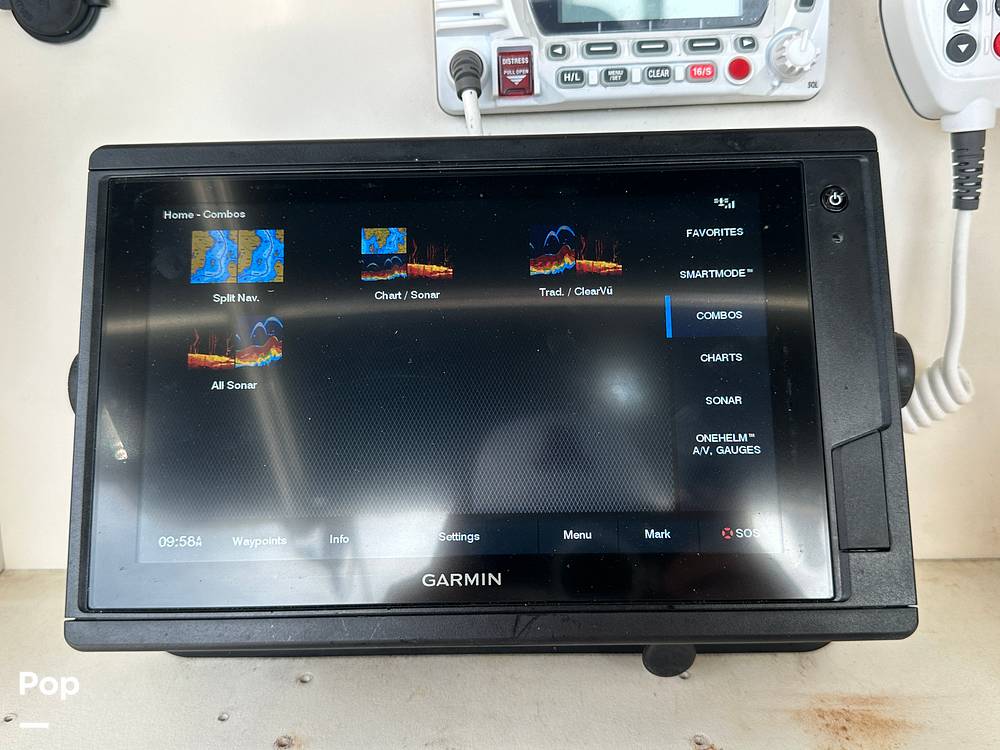 Slide: The Image of World Cat 246SF 1999 - 15835379