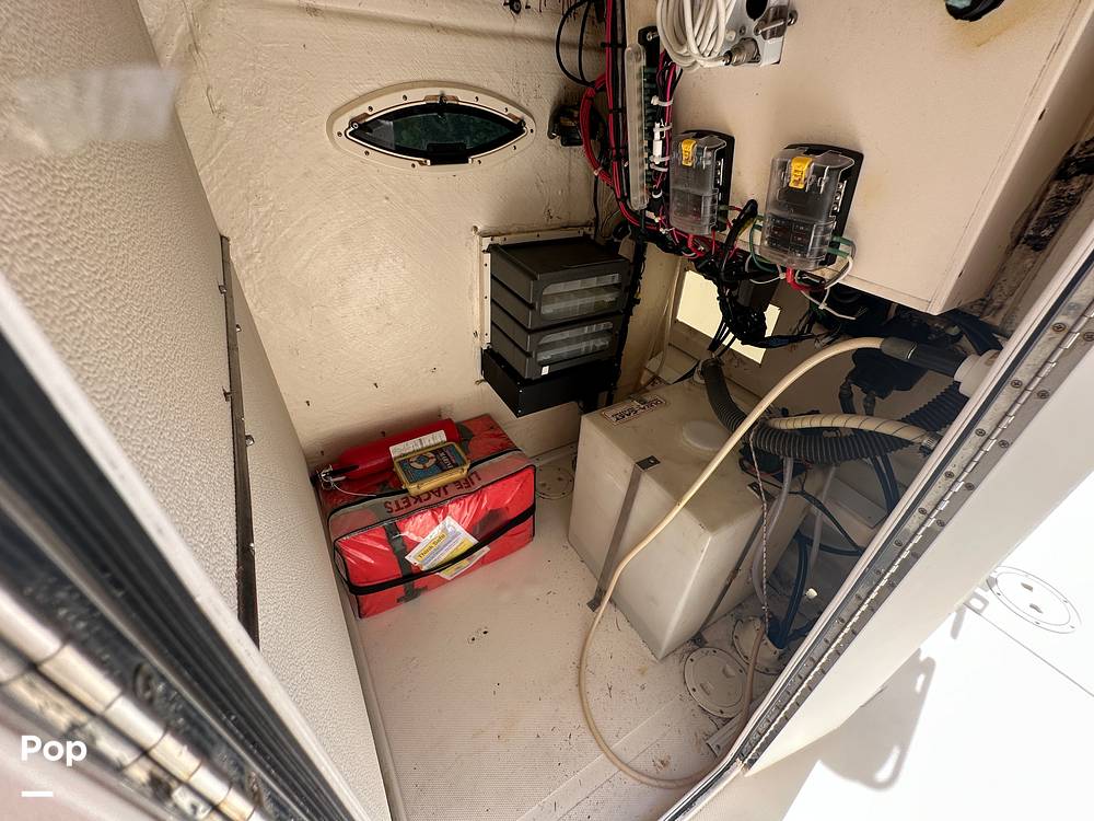 Slide: The Image of World Cat 246SF 1999 - 15835382