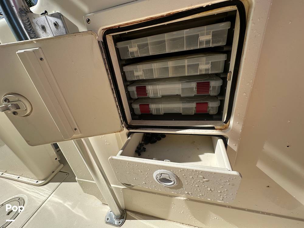 Slide: The Image of World Cat 246SF 1999 - 15835398