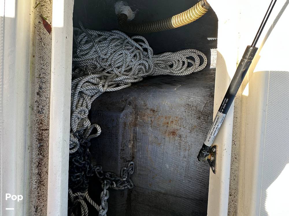 Slide: The Image of World Cat 246SF 1999 - 15835405