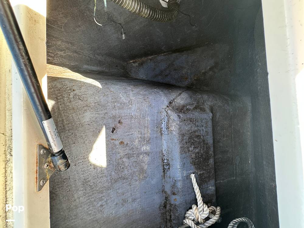 Slide: The Image of World Cat 246SF 1999 - 15835406