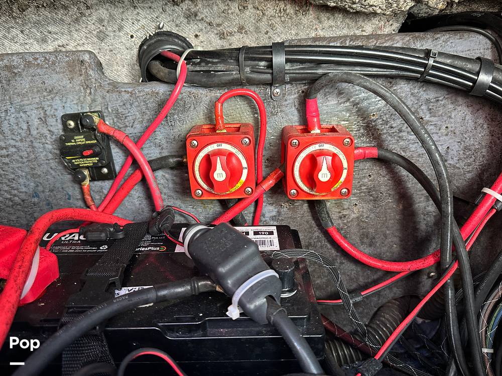 Slide: The Image of World Cat 246SF 1999 - 15835410