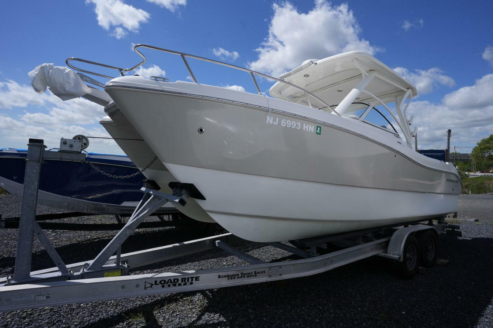 Slide: The Image of World Cat 255 DC 2020 - 5294318