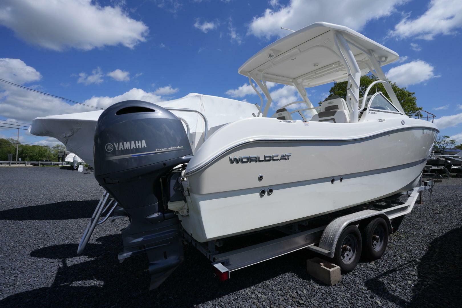 Slide: The Image of World Cat 255 DC 2020 - 5294319