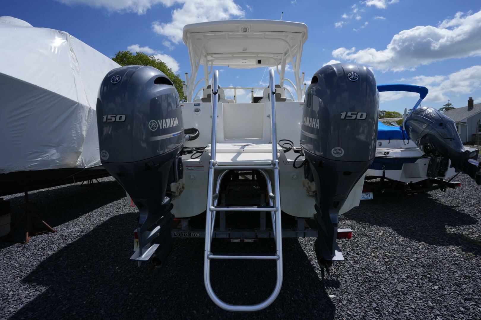 Slide: The Image of World Cat 255 DC 2020 - 5294320