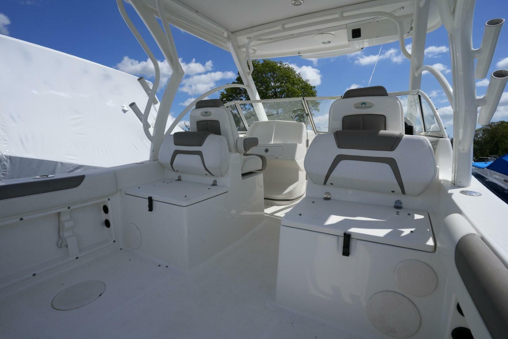 Slide: The Image of World Cat 255 DC 2020 - 5294322