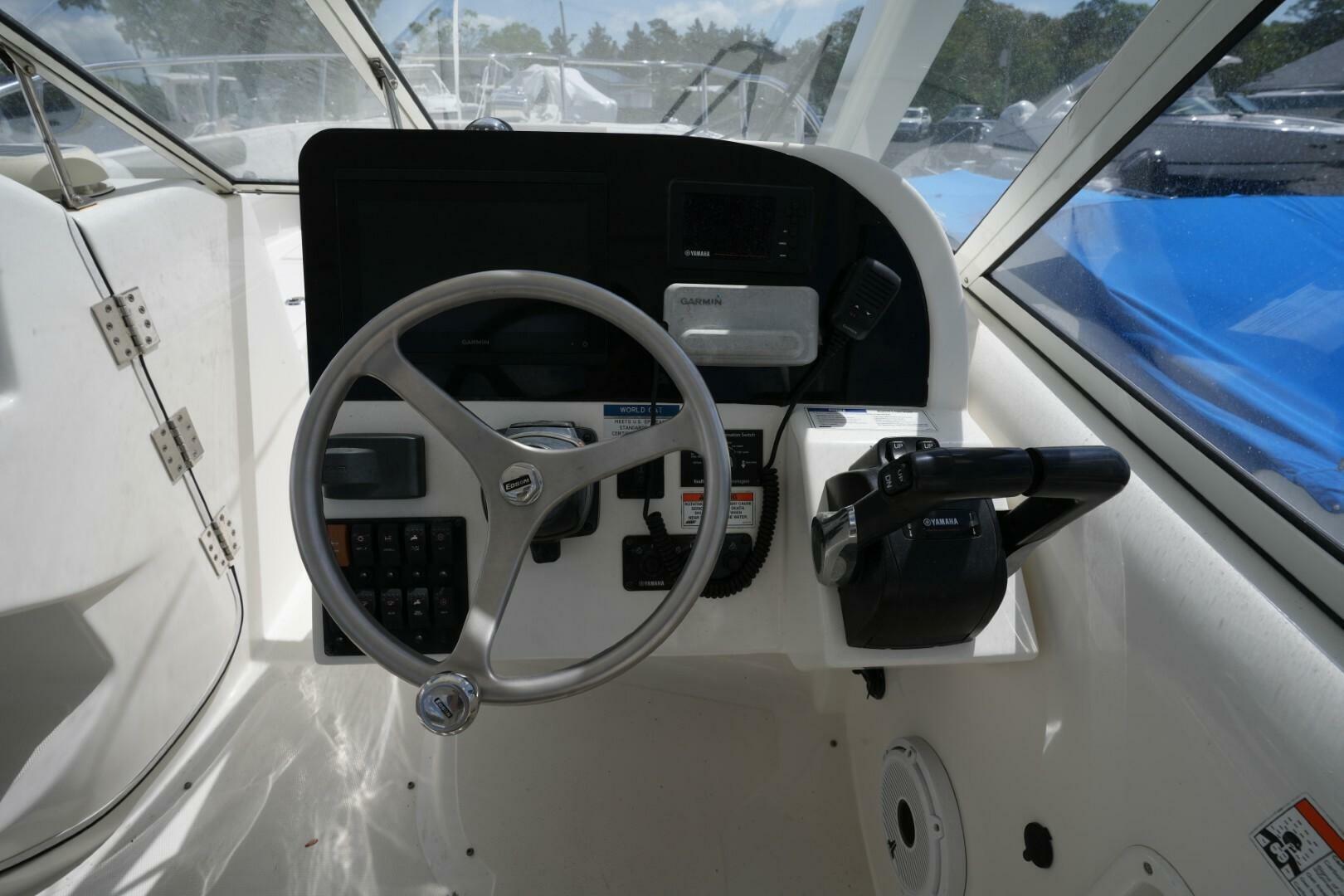 Slide: The Image of World Cat 255 DC 2020 - 5294326