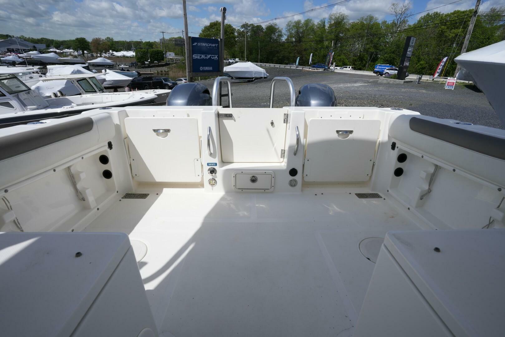 Slide: The Image of World Cat 255 DC 2020 - 5294328