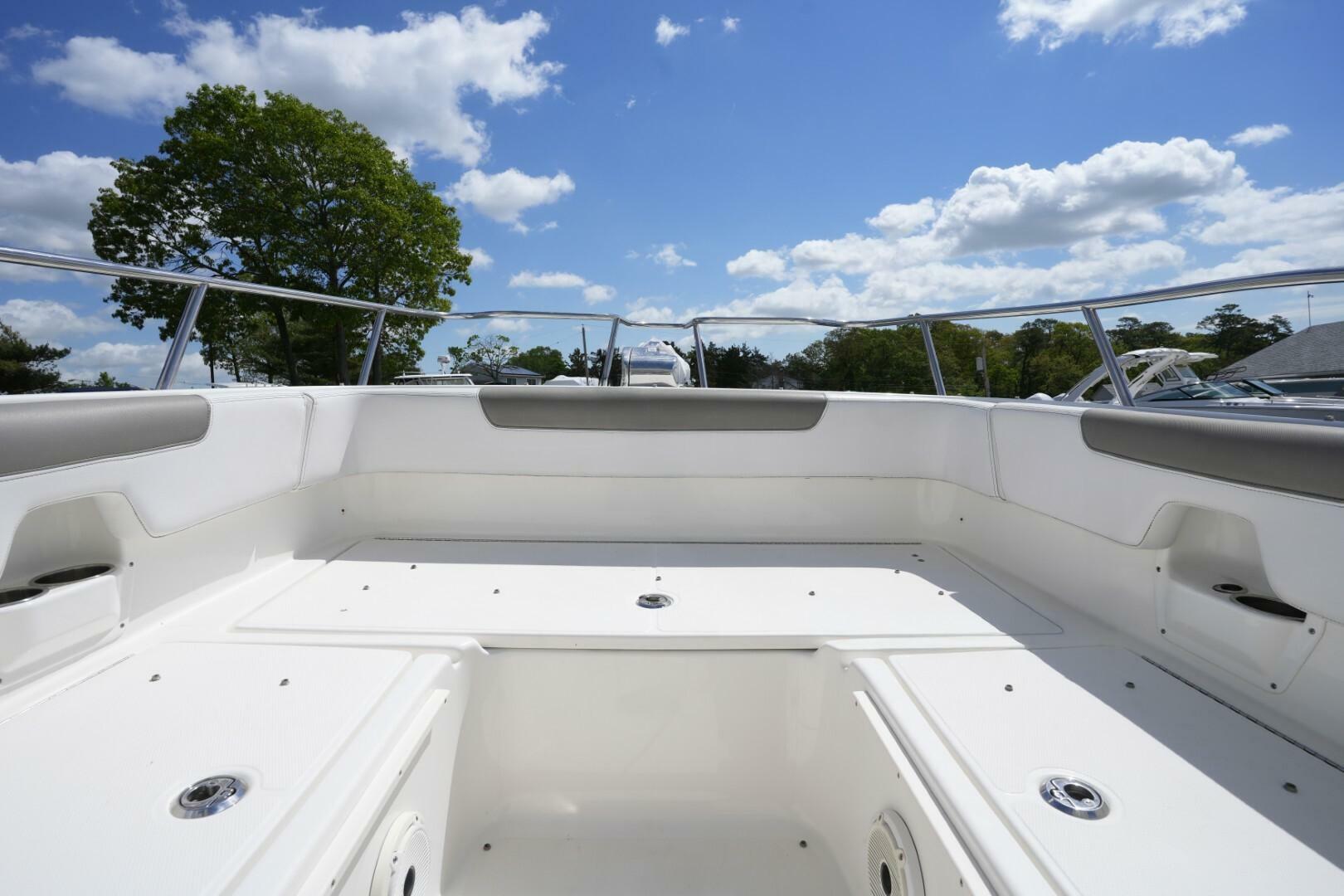 Slide: The Image of World Cat 255 DC 2020 - 5294329