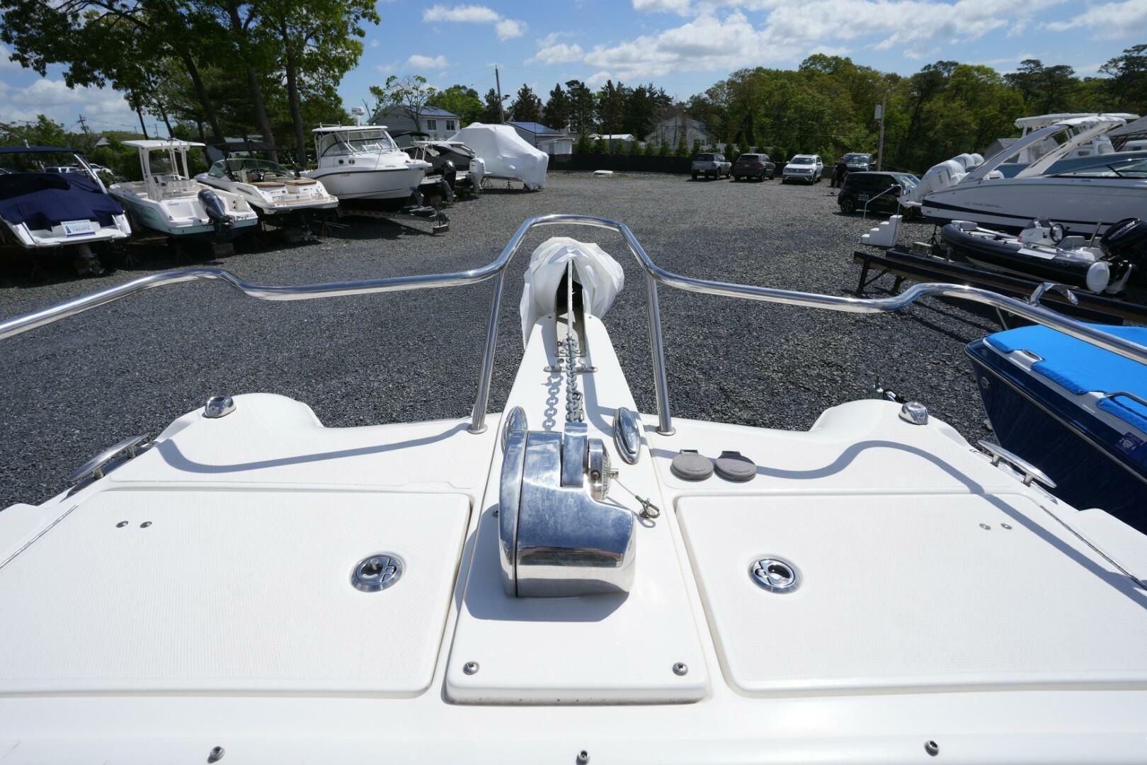 Slide: The Image of World Cat 255 DC 2020 - 5294330