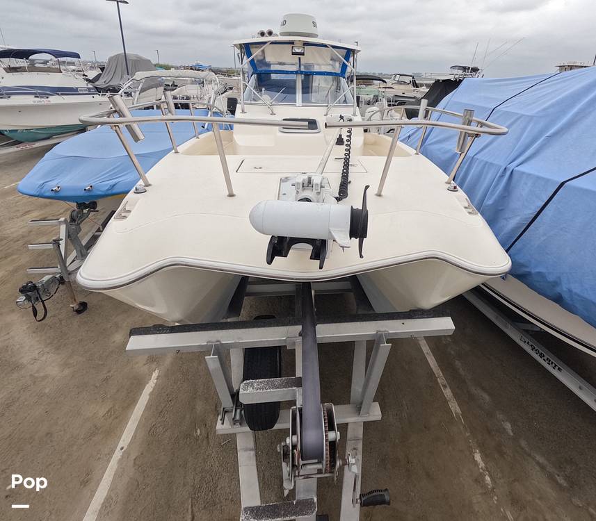 Slide: The Image of World Cat 266SC 1998 - 15855786