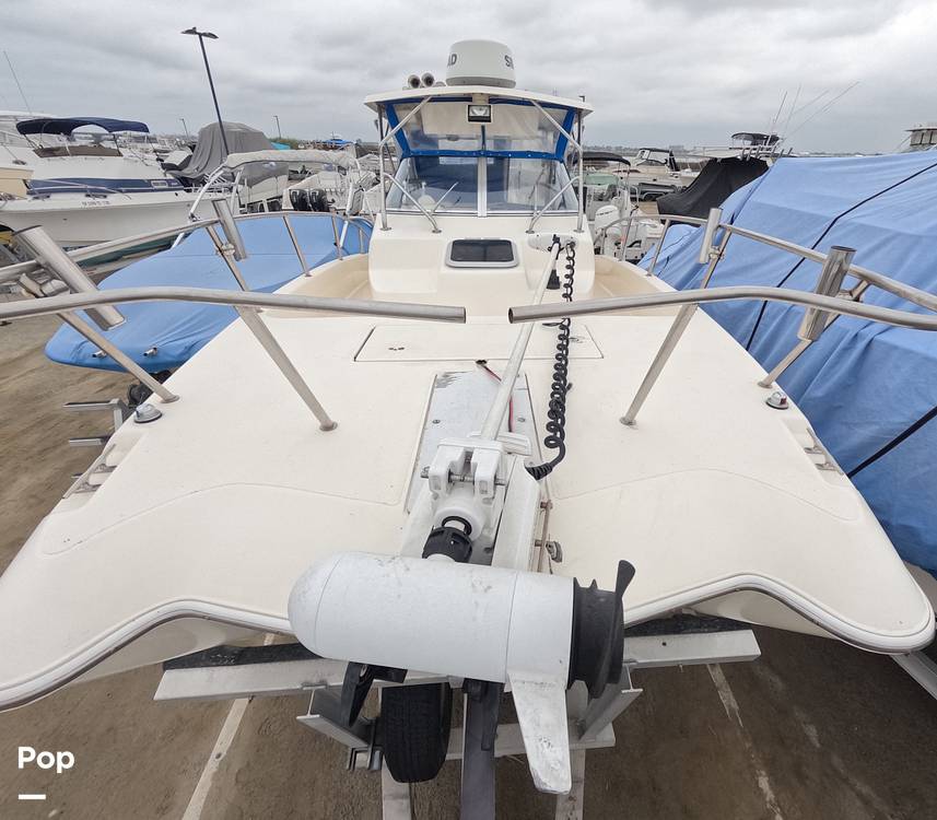 Slide: The Image of World Cat 266SC 1998 - 15855787