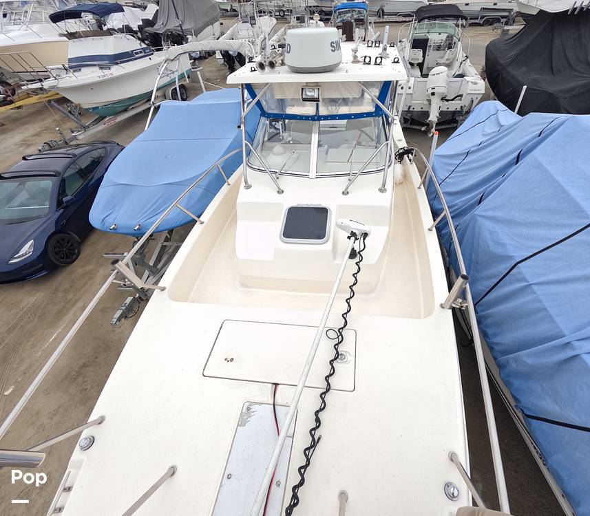 Slide: The Image of World Cat 266SC 1998 - 15855788