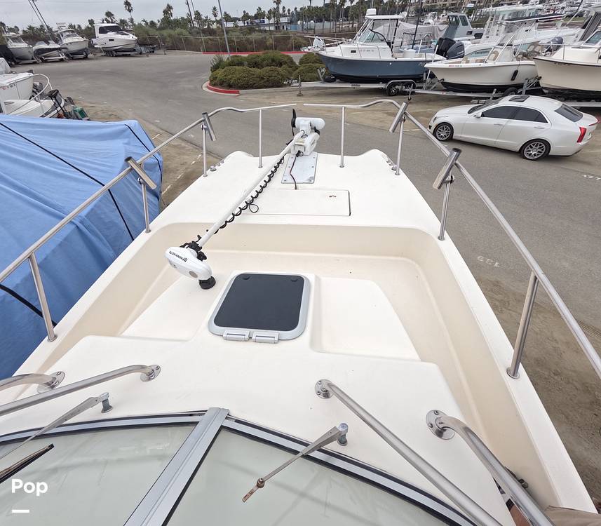 Slide: The Image of World Cat 266SC 1998 - 15855789