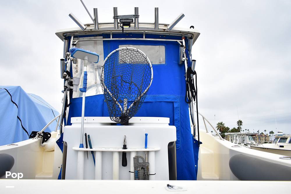 Slide: The Image of World Cat 266SC 1998 - 15855815