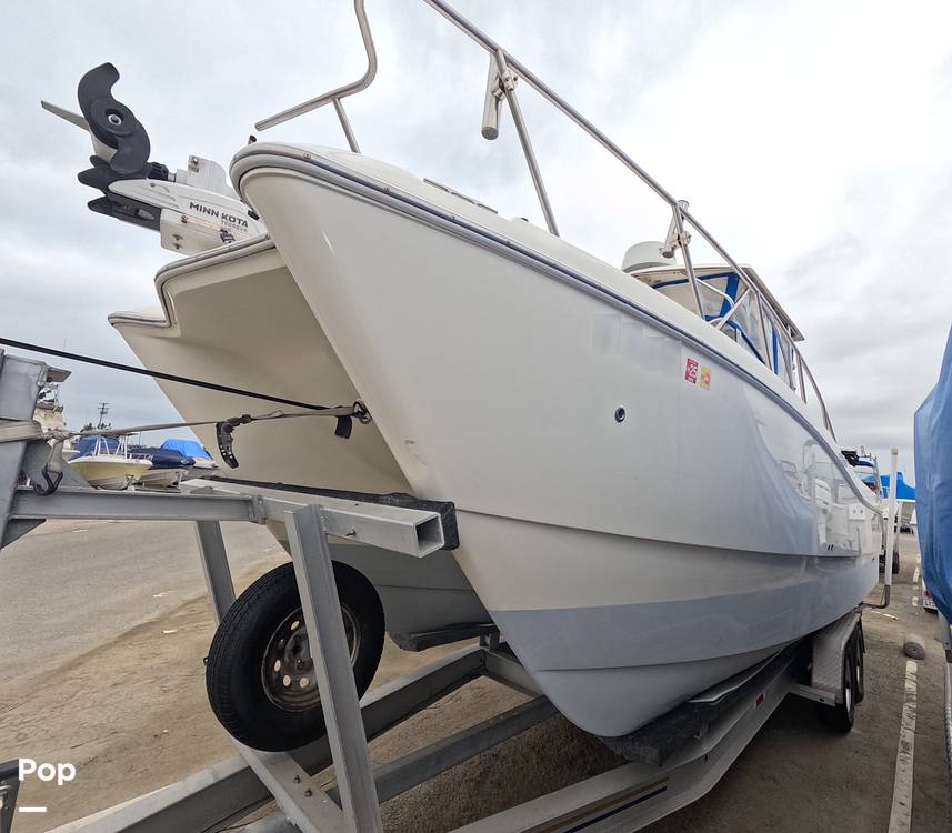 Slide: The Image of World Cat 266SC 1998 - 15855816