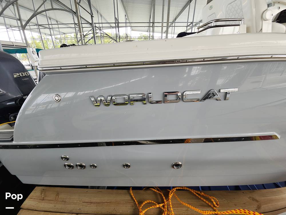 Slide: The Image of World Cat 280 CC-X 2020 - 14674170