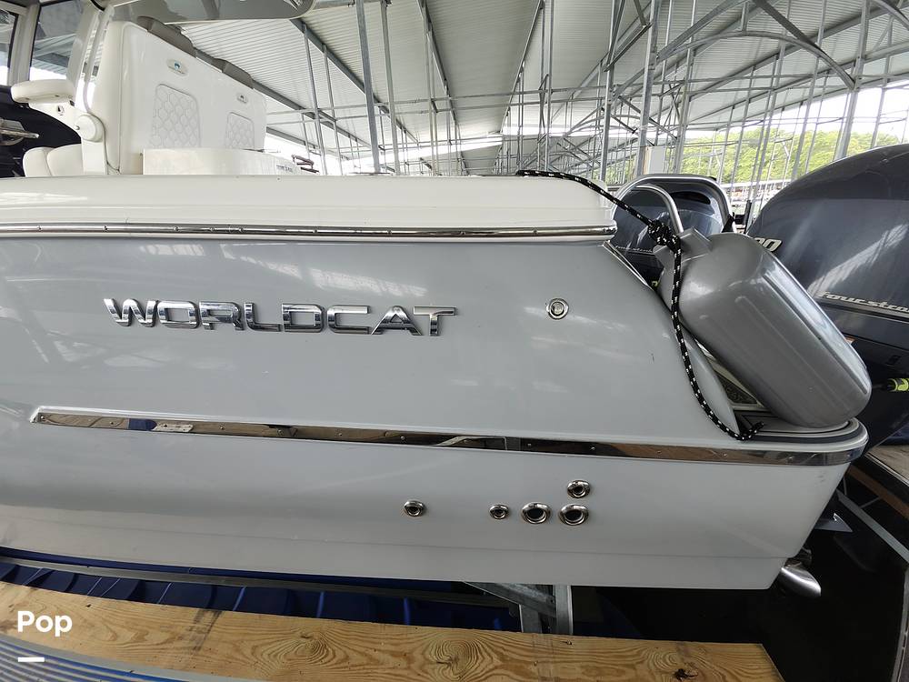 Slide: The Image of World Cat 280 CC-X 2020 - 14674187