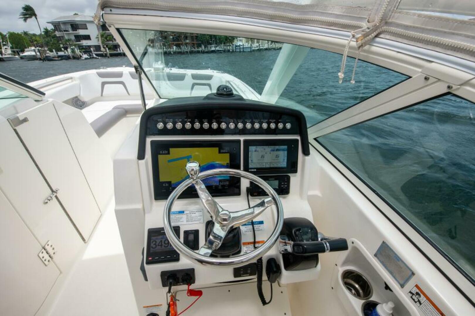 Slide: The Image of World Cat 29 The Cat's Meow- Helm 2019 World Cat The Cat's Meow 296 - 5333724