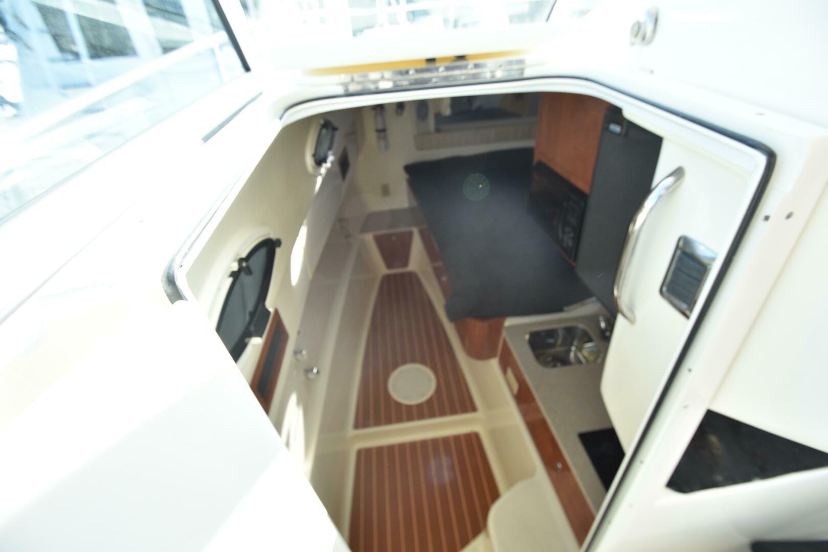 Slide: The Image of World Cat 32 EC 2008 - 30
