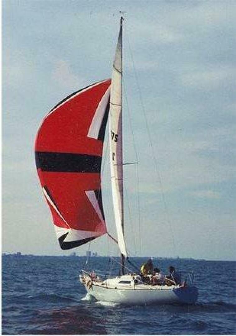 Slide: The Image of Wylie Hawkfarm 1978 - 5005660
