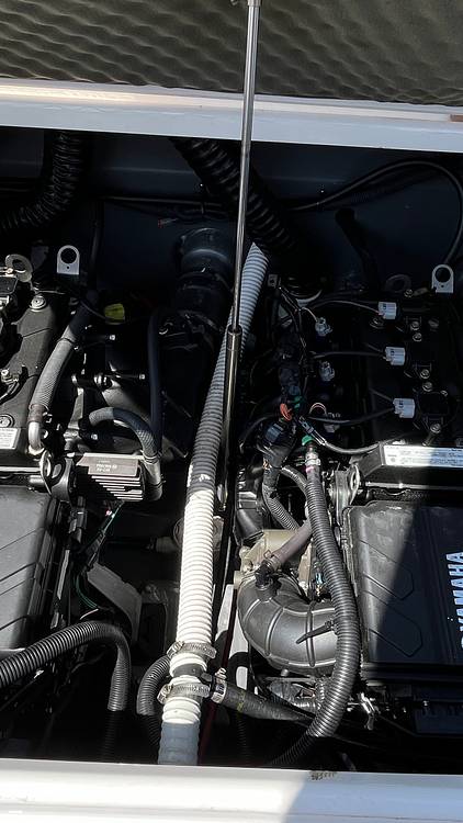 Slide: The Image of Yamaha 210 FSH Sport 2020 - 15400822