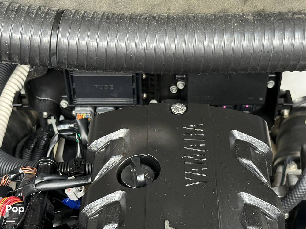 Slide: The Image of Yamaha 212 Limited 2017 - 15405231