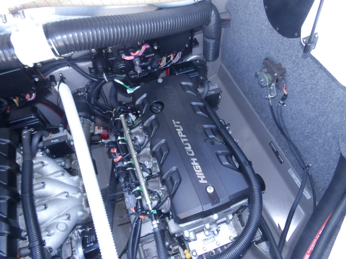 Slide: The Image of 100_0231 - 4541770