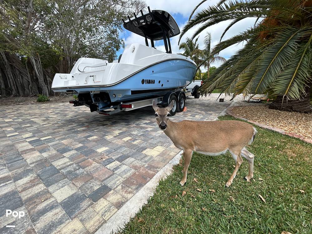 Slide: The Image of Yamaha 255 FSH Sport 2024 - 15378861