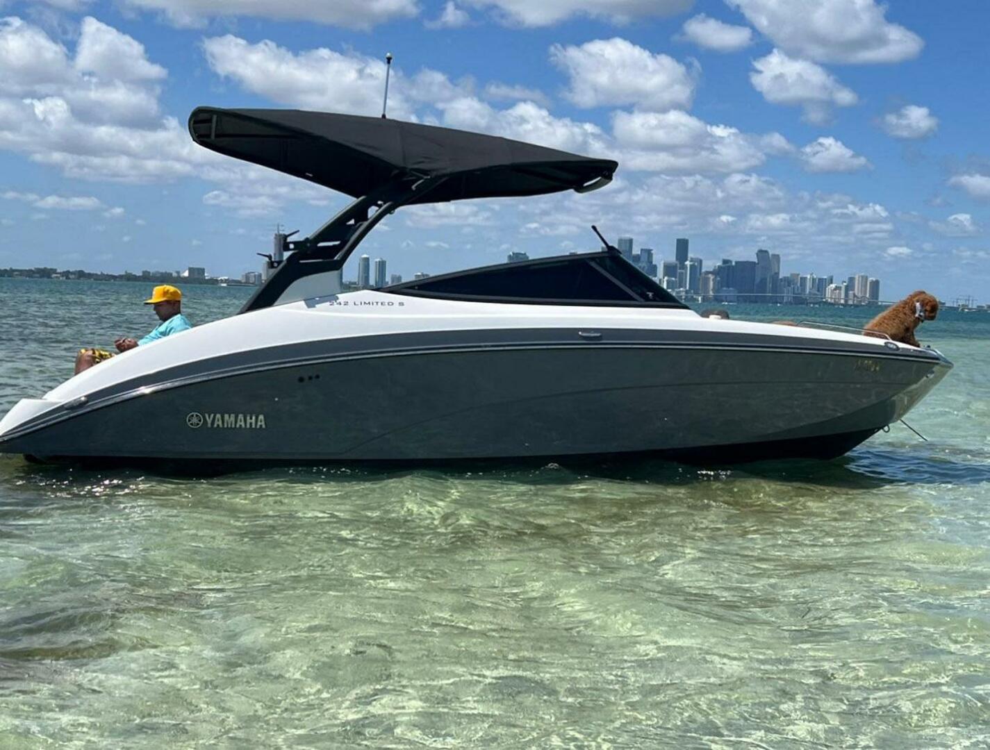 Slide: The Image of Yamaha Boats 242 Limited SE 2019 - 4755831